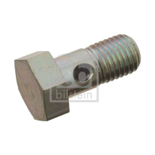 FEBI BILSTEIN üreges csavar FEBI BILSTEIN 101290 autóalkatrész