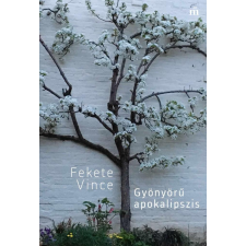 Fekete Vince - Gyönyörű apokalipszis egyéb könyv