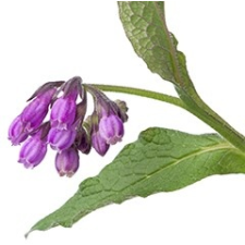 Feketenadálytő-olaj vitamin és táplálékkiegészítő