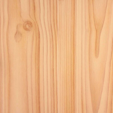  Fenyő öntapadós tapéta 90cmx2m tapéta, díszléc és más dekoráció