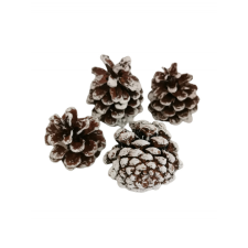  Fenyőtoboz - fehér, antikolt dekorációs kellék