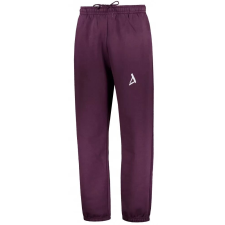Férfi zeneszámok ALTISPORT BYB/ALM002BY286 BURGUNDIA méret: L férfi edzőruha