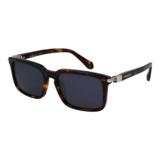 FERRAGAMO FERRAGAMO SF1110S-242 Férfi napszemüveg napszemüveg