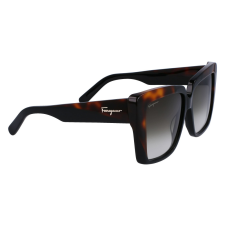 FERRAGAMO SF1060S-6 női napszemüveg napszemüveg