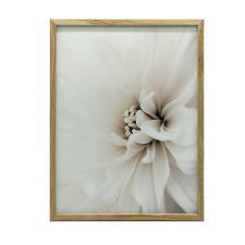 FESTÉS VÁSZONRA KÍMÉLŐ FEHÉR DALLIA 70x100 CM KERET NÉLKÜL PREMIUM grafika, keretezett kép