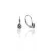 Fine Silver AG121263 -Ezüst hagyományos záras beakasztós női fülbevaló pár