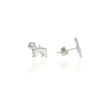 Fine Silver AG123104 - Ezüst beszúrós fülbevaló fülbevaló