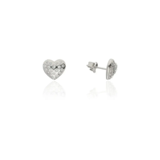 Fine Silver AG123395 - Ezüst beszúrós fülbevaló fülbevaló