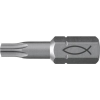 Fischer FPB T 25 PROFI Bit W 10 (557848) Bit készlet 10 részes (557848)