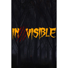 FiveDead Interactive Inc. Invisible (PC - Steam elektronikus játék licensz) videójáték