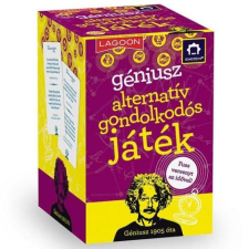 Flair Toys Einstein Géniusz Alternatív gondolkodós társasjáték (6626) (flairtoys6626) társasjáték