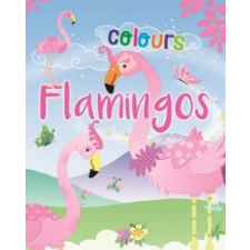  Flamingos Colours gyermek- és ifjúsági könyv