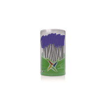 FLEXOFFICE FO-049 kupakos golyóstoll - 0.3mm / Kék (50 db) toll