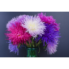  Flori83 öntapadós tapéta, 250 x 200 cm tapéta, díszléc és más dekoráció