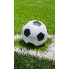  Focis Corner kéztörlő, arctörlő, törölköző 30x50cm lakástextília