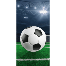 Focis Field fürdőlepedő, strandtörölköző 70x140cm lakástextília