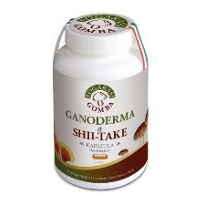 FOGARASI GANODERMA SHII-TAKE KAPSZULA vitamin és táplálékkiegészítő
