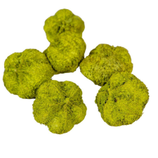  Fokhagyma termés olíva 11dkg/csomag dekorációs kellék