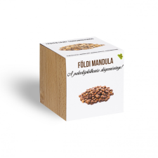 Földimandula - Tigrismogyoró - növényem fa kaspóban fa és növény