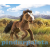 Folkmanis Plüss kesztyűbáb ló barna