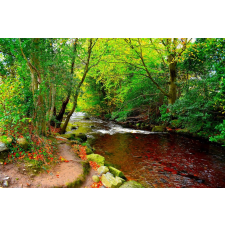  Folyó a zöld erdőből tapéta, 350 x 200 cm tapéta, díszléc és más dekoráció