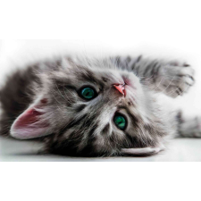 Fotótapéta 3D Kitty tapéta, díszléc és más dekoráció