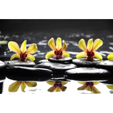  Fotótapéta Sárga orchideák kövekkel, 400 x 250 cm tapéta, díszléc és más dekoráció