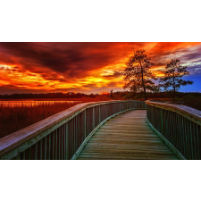  Fotótapéta Tree in the sunset, 300 x 200 cm tapéta, díszléc és más dekoráció