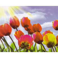  Fotótapéta Tulipánok tapéta, díszléc és más dekoráció