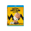 FOX Snoopy és Charlie Brown - A Peanuts Film (Blu-ray)