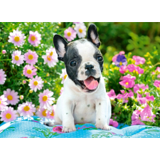 Francia Bulldog Kölyök Puzzle 70 Darabos puzzle, kirakós