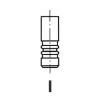 FRECCIA Kipufogószelep R3416/RCR