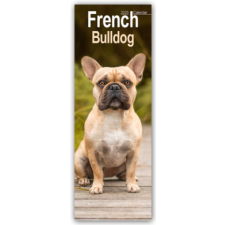 French Bulldog 2025 naptár, kalendárium
