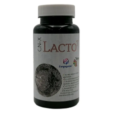 Freyagena Balance CN-X Lacto7 probiotikum kapszula 60db vitamin és táplálékkiegészítő