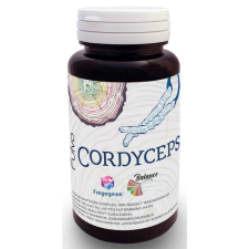 Freyagena Fulvo Cordyceps 60 kapszula vitamin és táplálékkiegészítő
