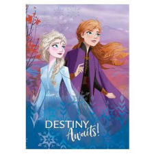 Frozen/Jégvarázs pléd/takaró, Destiny, 100x140 cm (006) lakástextília