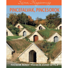 Fucskár Ágnes, Fucskár József Attila Pincefalvak, pincesorok (BK24-203153) művészet