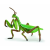 Fun Toys Akciófigurák Fun Toys Praying Mantis (10 cm)