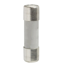  Fuse 5X20 250V 2A, order in lots of 10 ABE7FU200 Schneider villanyszerelés
