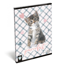  Füzet LIZZY CARD A/5 32 lapos vonalas 21-32 Purrrfect füzet