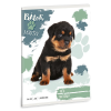  Füzet vonalas ARS UNA A/5 32 lapos 14-32 1. osztályos Bátor mancsok-Rottweiler