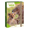  Füzetbox ARS UNA A/4 Icons of the Wild-Lions