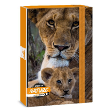 Füzetbox ARS UNA A/5 Máté Bence-lion füzetbox