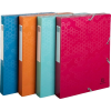  Füzetbox Exacompta Maia A/4 40 mm gerinccel PP vegyes színek