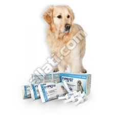 Fypryst 2,68 ml (20-40kg) kutya 1 pipetta Termék szavatosság : 2024.12.30 élősködő elleni készítmény kutyáknak