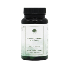 G&G B5-vitamin 500mg 60 kapszula – G&G vitamin és táplálékkiegészítő