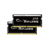G.Skill Ripjaws F5-4800S3434A16GX2-RS 32 GB 2 x 16 GB DDR5 (F5-4800S3434A16GX2-RS)