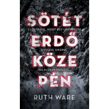 Gabo Sötét erdő közepén regény