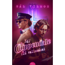 Gál Vilmos - Egy Chippendale-fiú vallomásai regény