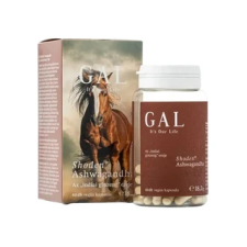 Gal Vital SynergyTech Kft. GAL Shoden® Ashwagandha kapszula 60 db gyógyhatású készítmény